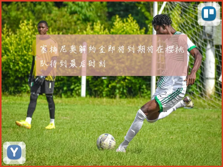 塞梅尼奥解约金即将到期将在樱桃队待到最后时刻